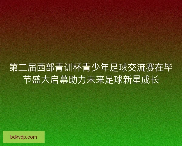 第二届西部青训杯青少年足球交流赛在毕节盛大启幕助力未来足球新星成长